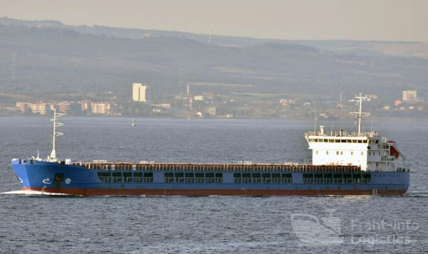 Морские перевозки сухогрузом 7000 тонн.